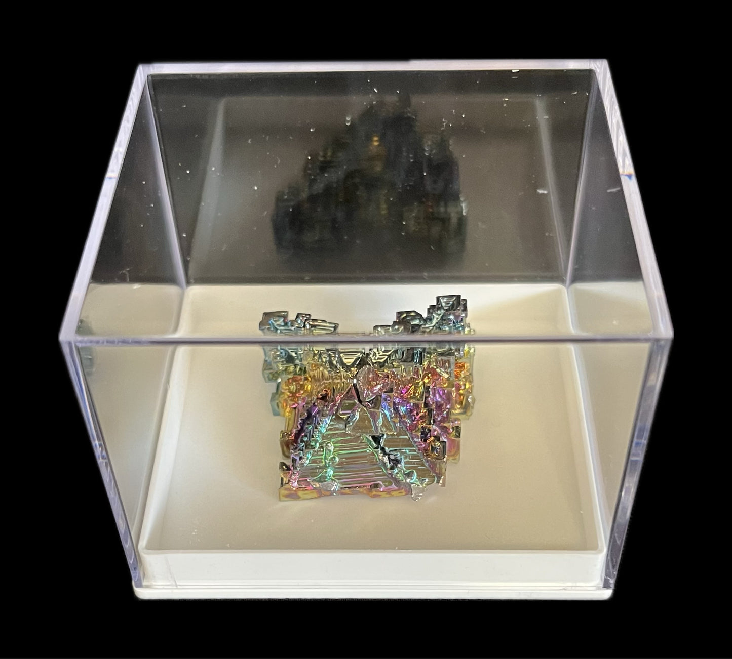 Aurora - Scatola in plastica fondo bianco - 10 pezzi