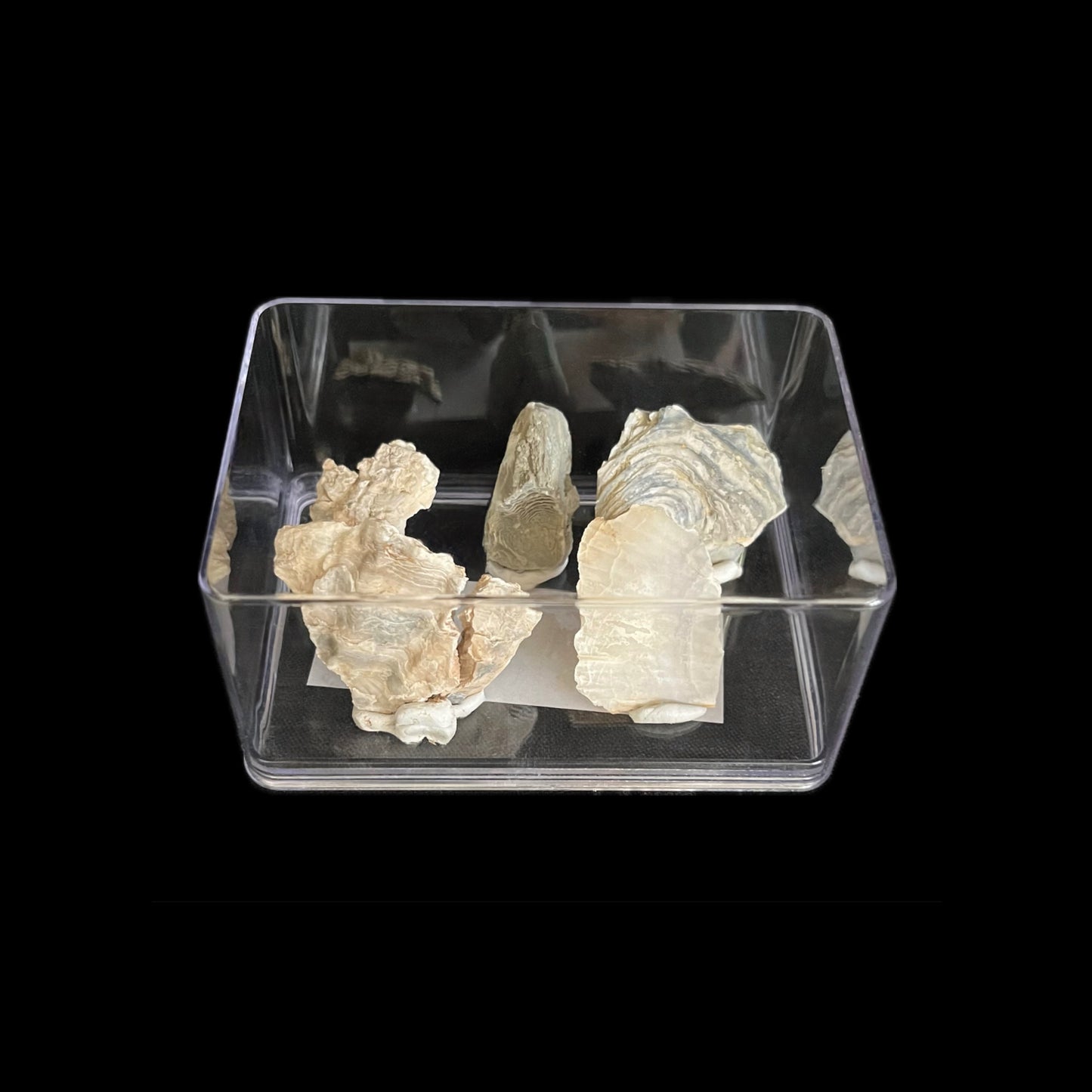 Transparent plastic box - 6 pieces
