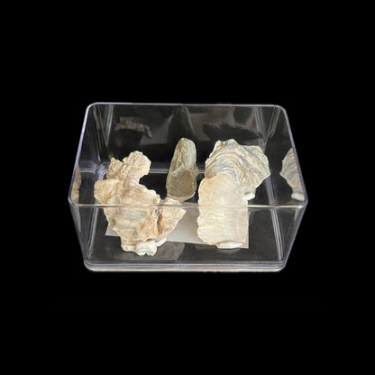 Transparent plastic box - 6 pieces