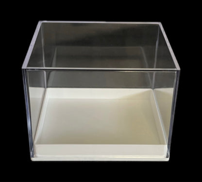 Aurora - Scatola in plastica fondo bianco - 10 pezzi