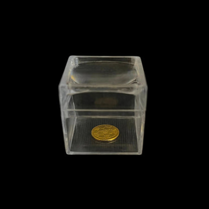 Angelica - Scatola in plastica trasparente con lente 3x - 18 pezzi