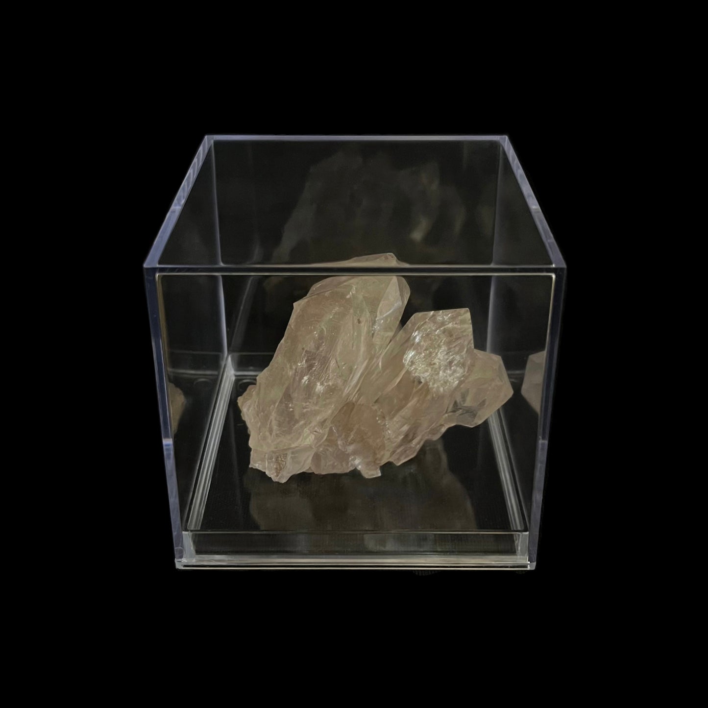 Beatrice - Scatola in platica trasparente - 4 pezzi