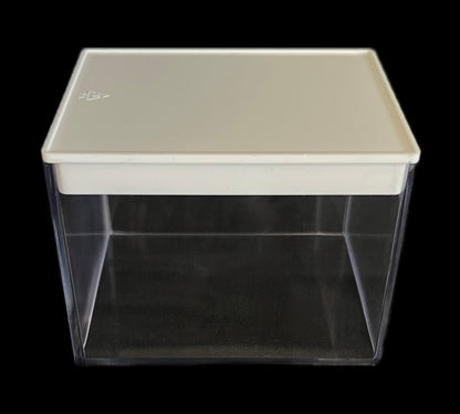 Aurora - Scatola in plastica fondo bianco - 10 pezzi