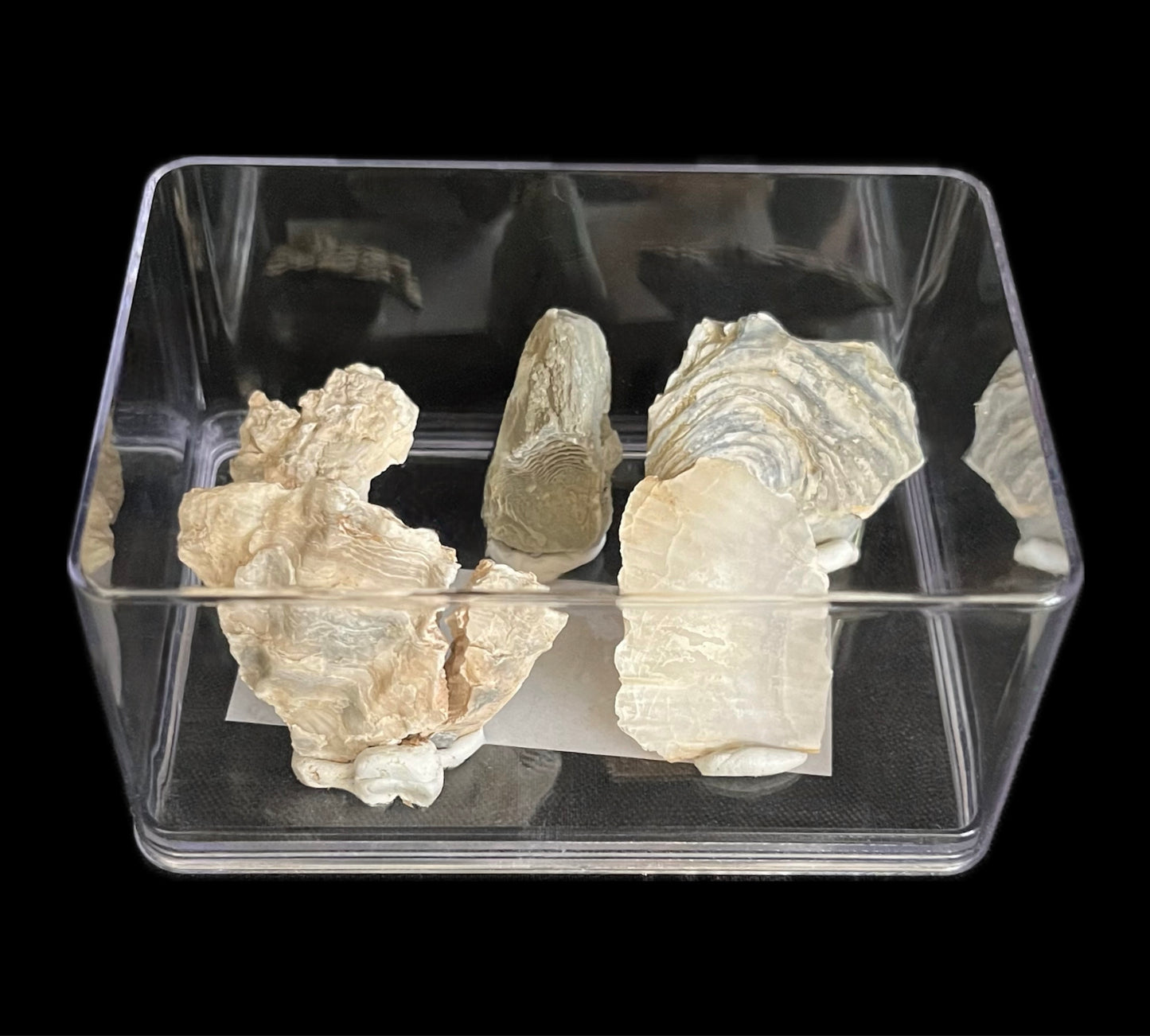 Giulietta - Scatola in plastica trasparente - 6 pezzi