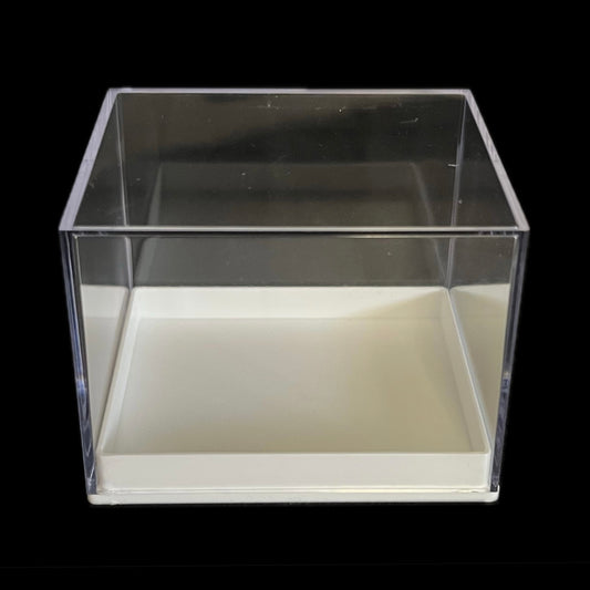 Aurora - Scatola in plastica fondo bianco - 10 pezzi