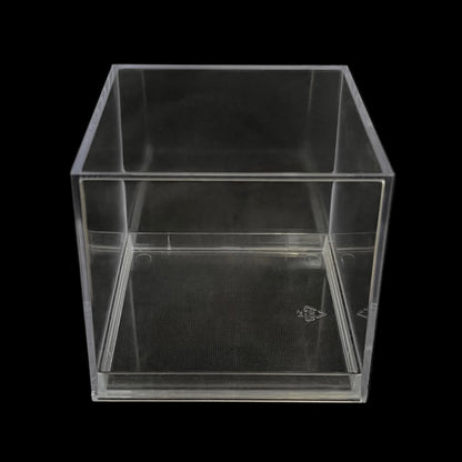 Beatrice - Scatola in platica trasparente - 4 pezzi