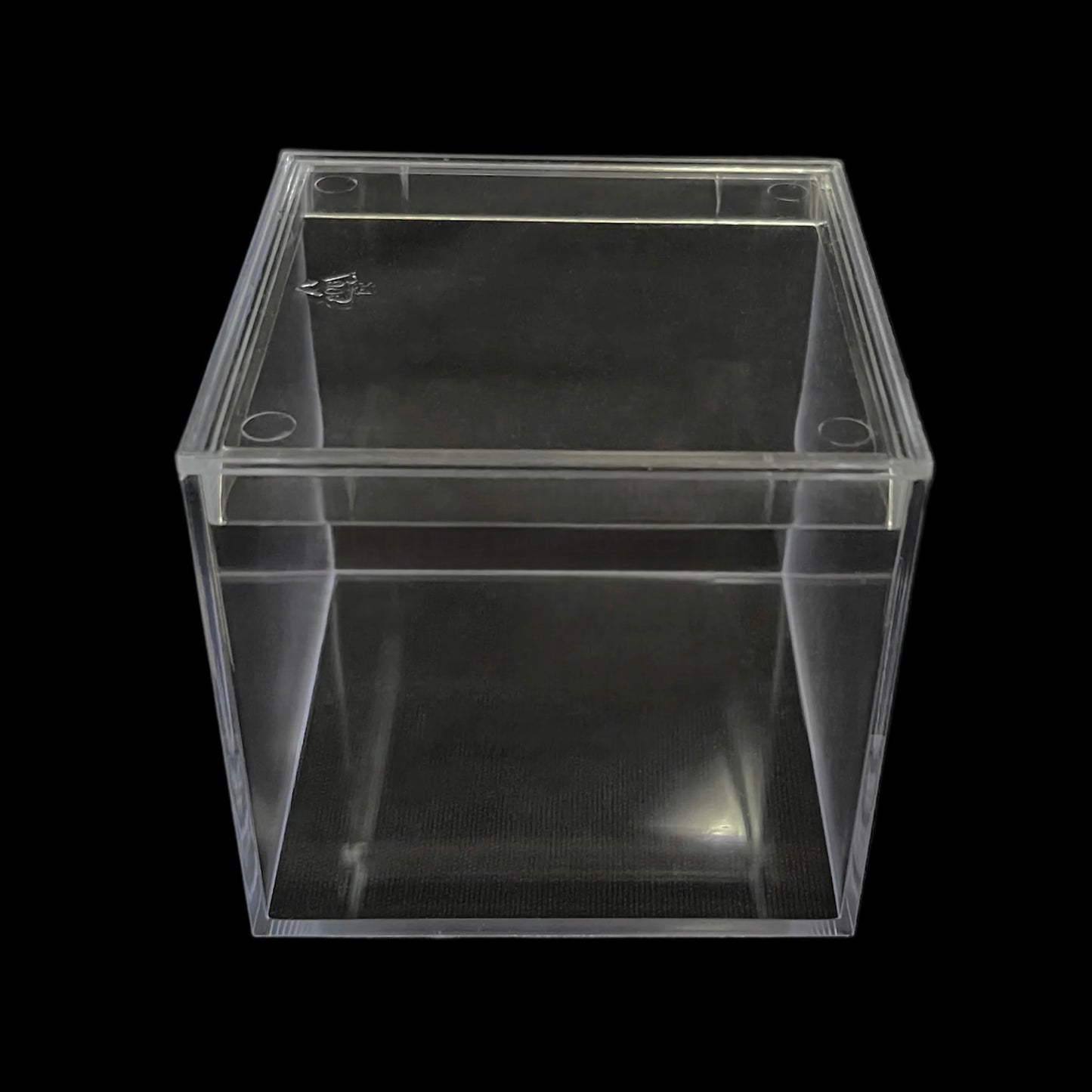 Beatrice - Scatola in platica trasparente - 4 pezzi