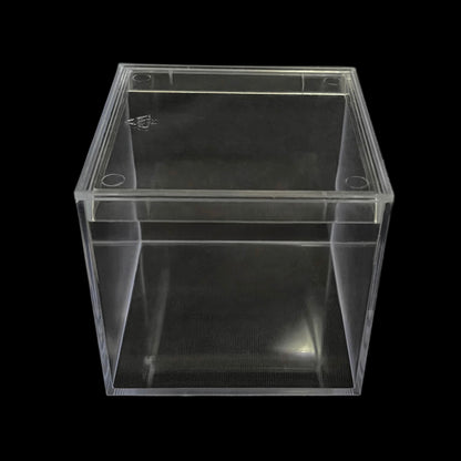 Beatrice - Scatola in platica trasparente - 4 pezzi