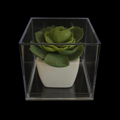 Beatrice - Scatola in platica trasparente - 4 pezzi