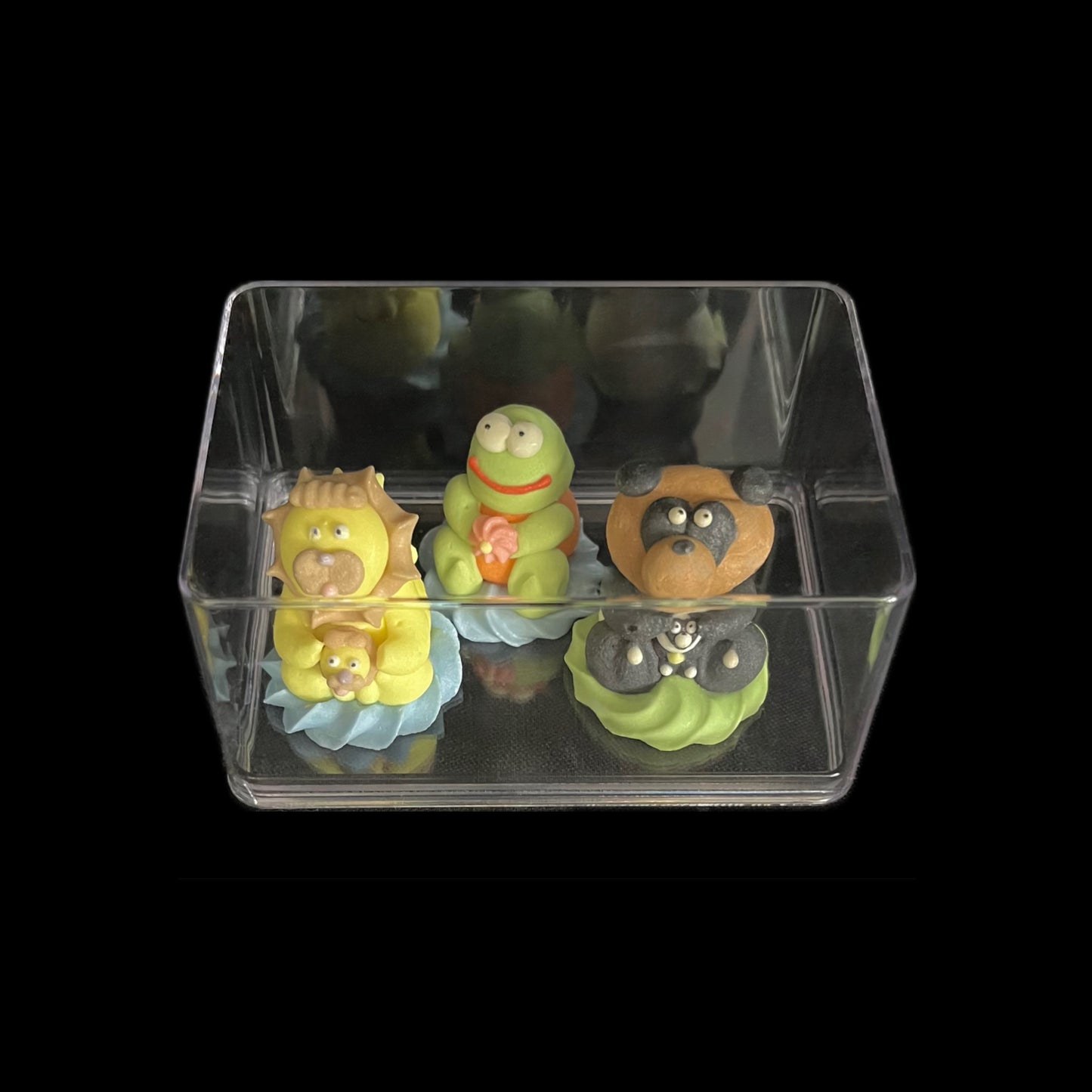 Transparent plastic box - 6 pieces