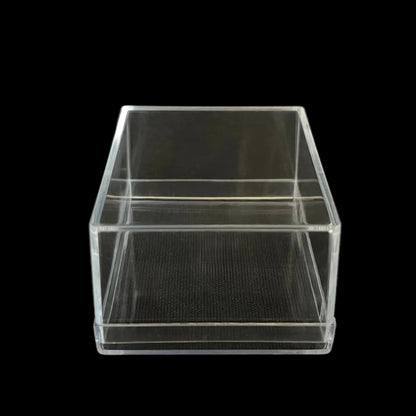 Alice - Scatola in plastica trasparente - 10 pezzi